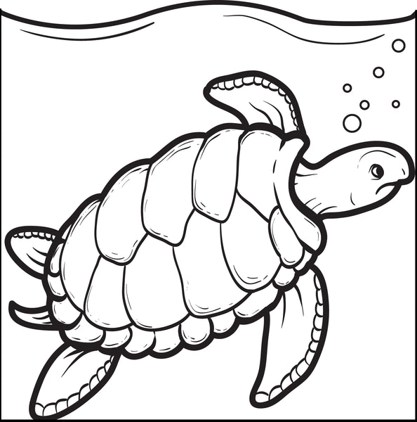 sea turtle coloring page