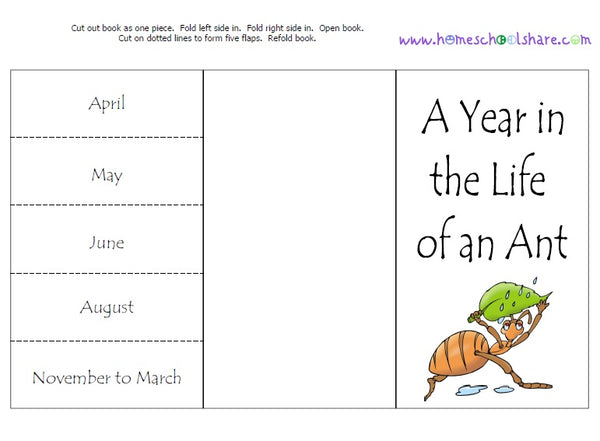 ANT Unit Study MEGA Printable Ants Bundle Ant (Download Now) 