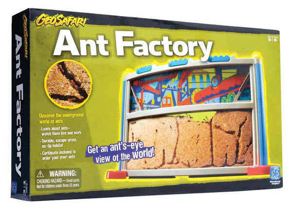 Educational Insights Ant Factory Gr Pk & Up