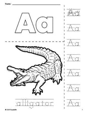 Free printable alligator coloring page and letter tracing worksheet, letter a worksheet for preschool, pre-k, and kindergarten, PDF