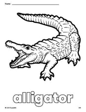 Free printable alligator coloring page for preschool, pre-k, and kindergarten, PDF