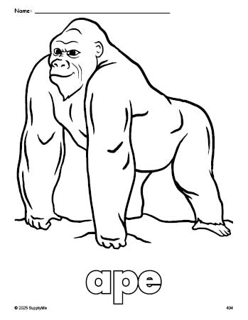 Free printable ape coloring page for preschool, pre-k, and kindergarten, PDF