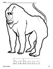 Free printable baboon coloring page and word tracing worksheet, perfect for preschool, pre-k, and kindergarten, PDF