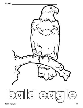 Free printable bald eagle Fourth of July coloring page for preschool, pre-k, and kindergarten, PDF