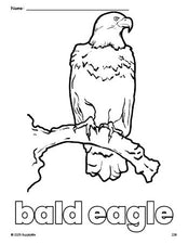 Free printable bald eagle Fourth of July coloring page for preschool, pre-k, and kindergarten, PDF