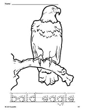 Free printable bald eagle Fourth of July coloring page and word tracing worksheet, letter formation guides, perfect for preschool, pre-k, and kindergarten, PDF