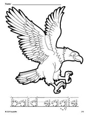 Free printable bald eagle Fourth of July coloring page and word tracing worksheet, letter formation guides, perfect for preschool, pre-k, and kindergarten, PDF