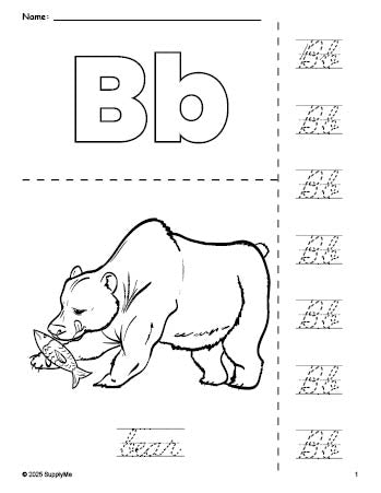 Free printable bear coloring page and cursive letter tracing worksheet, letter b worksheet for preschool, pre-k, and kindergarten, PDF