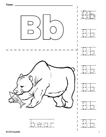 Free printable bear coloring page and letter tracing worksheet, letter b worksheet for preschool, pre-k, and kindergarten, PDF