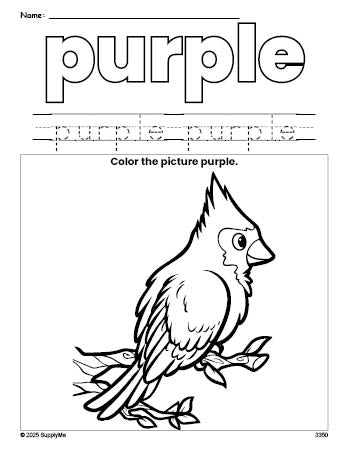 Free bird color purple coloring page and color worksheet, purple worksheet for preschoolers to learn colors, printable PDF