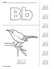 Free printable bird coloring page and cursive letter tracing worksheet, letter b worksheet for preschool, pre-k, and kindergarten, PDF