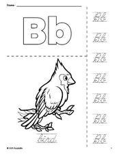 Free printable bird coloring page and cursive letter tracing worksheet, letter b worksheet for preschool, pre-k, and kindergarten, PDF