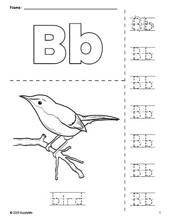 Free printable bird coloring page and letter tracing worksheet, letter b worksheet for preschool, pre-k, and kindergarten, PDF