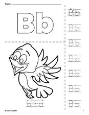 Free printable bird coloring page and letter tracing worksheet, letter b worksheet for preschool, pre-k, and kindergarten, PDF