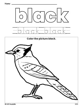 Free bluejay color black coloring page and color worksheet, black worksheet for preschoolers to learn colors, printable PDF