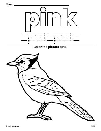 Free bluejay color pink coloring page and color worksheet, pink worksheet for preschoolers to learn colors, printable PDF