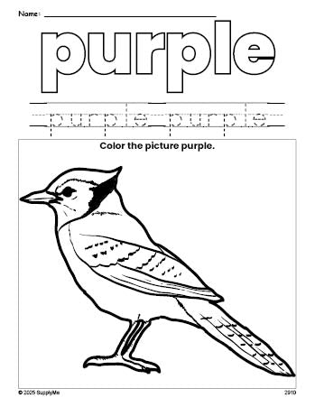 Free bluejay color purple coloring page and color worksheet, purple worksheet for preschoolers to learn colors, printable PDF