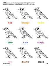 Free bluejay coloring page and color worksheet for preschoolers to learn colors, printable PDF