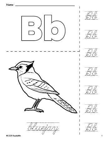 Free printable bluejay coloring page and cursive letter tracing worksheet, letter b worksheet for preschool, pre-k, and kindergarten, PDF