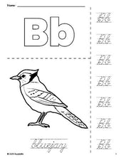 Free printable bluejay coloring page and cursive letter tracing worksheet, letter b worksheet for preschool, pre-k, and kindergarten, PDF