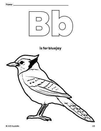 Free printable bluejay coloring page, letter b coloring page for preschool, pre-k, and kindergarten, PDF