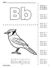 Free printable bluejay coloring page and letter tracing worksheet, letter b worksheet for preschool, pre-k, and kindergarten, PDF