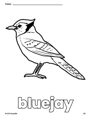 Free printable bluejay coloring page for preschool, pre-k, and kindergarten, PDF