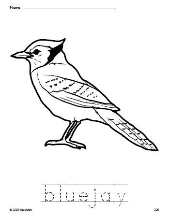 Free printable bluejay coloring page and word tracing worksheet, perfect for preschool, pre-k, and kindergarten, PDF