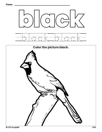 Free cardinal color black coloring page and color worksheet, black worksheet for preschoolers to learn colors, printable PDF