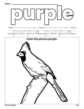 Free cardinal color purple coloring page and color worksheet, purple worksheet for preschoolers to learn colors, printable PDF