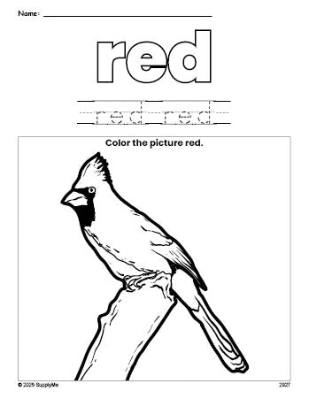 Free cardinal color red coloring page and color worksheet, red worksheet for preschoolers to learn colors, printable PDF