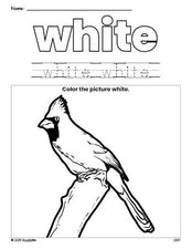 Free cardinal color white coloring page and color worksheet, white worksheet for preschoolers to learn colors, printable PDF