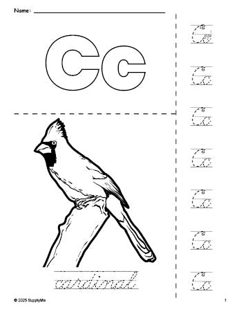 Free printable cardinal coloring page and cursive letter tracing worksheet, letter c worksheet for preschool, pre-k, and kindergarten, PDF