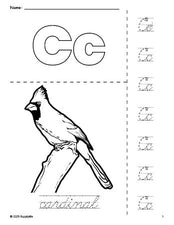 Free printable cardinal coloring page and cursive letter tracing worksheet, letter c worksheet for preschool, pre-k, and kindergarten, PDF