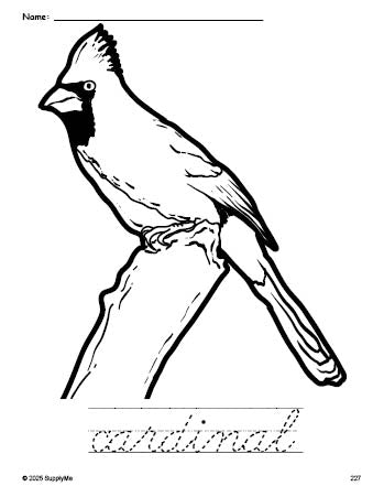 Free printable cardinal coloring page and cursive word tracing worksheet, perfect for preschool, pre-k, and kindergarten, PDF