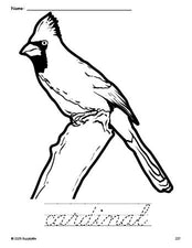 Free printable cardinal coloring page and cursive word tracing worksheet, perfect for preschool, pre-k, and kindergarten, PDF