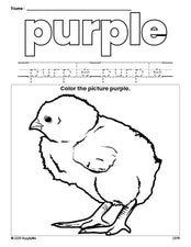 Free chick color purple coloring page and color worksheet, purple worksheet for preschoolers to learn colors, printable PDF