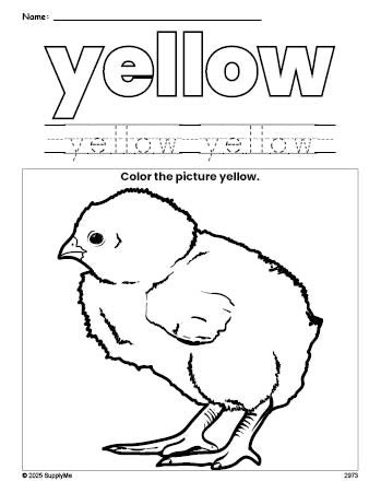 Free chick color yellow coloring page and color worksheet, yellow worksheet for preschoolers to learn colors, printable PDF