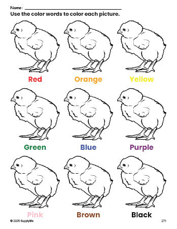 Free chick coloring page and color worksheet for preschoolers to learn colors, printable PDF