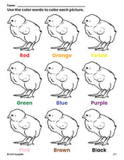 Free chick coloring page and color worksheet for preschoolers to learn colors, printable PDF