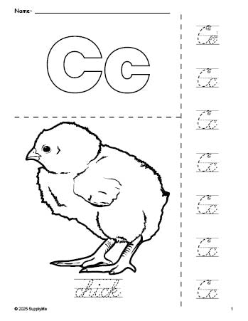 Free printable chick coloring page and cursive letter tracing worksheet, letter c worksheet for preschool, pre-k, and kindergarten, PDF