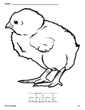 Free printable chick coloring page and word tracing worksheet, perfect for preschool, pre-k, and kindergarten, PDF