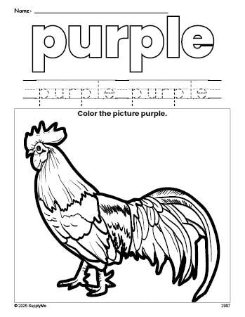 Free chicken color purple coloring page and color worksheet, purple worksheet for preschoolers to learn colors, printable PDF