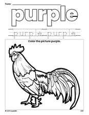 Free chicken color purple coloring page and color worksheet, purple worksheet for preschoolers to learn colors, printable PDF