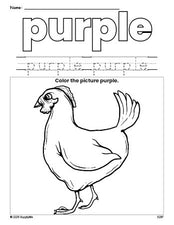 Free chicken color purple coloring page and color worksheet, purple worksheet for preschoolers to learn colors, printable PDF