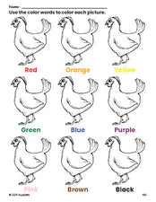 Free chicken coloring page and color worksheet for preschoolers to learn colors, printable PDF