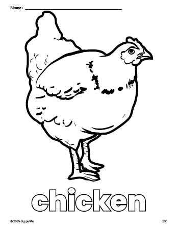 Free printable chicken coloring page for preschool, pre-k, and kindergarten, PDF