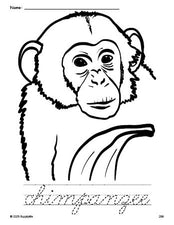 Free printable chimpanzee coloring page and cursive word tracing worksheet, perfect for preschool, pre-k, and kindergarten, PDF