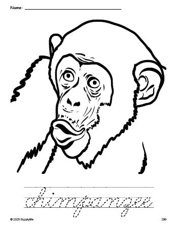 Free printable chimpanzee coloring page and cursive word tracing worksheet, perfect for preschool, pre-k, and kindergarten, PDF