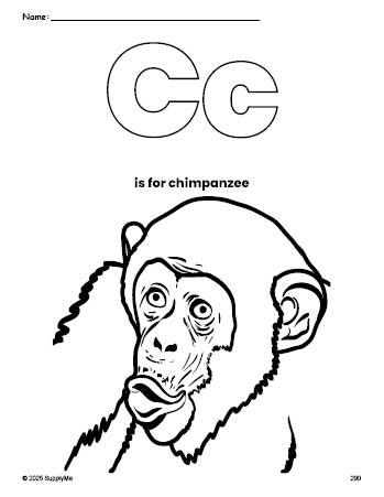 Free printable chimpanzee coloring page, letter c coloring page for preschool, pre-k, and kindergarten, PDF